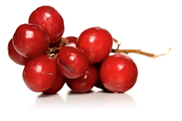 Ветвь красного винограда — стоковое фото