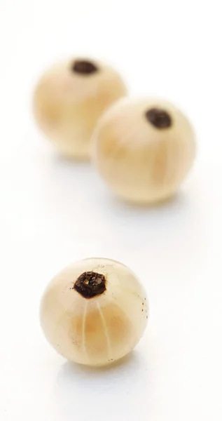 Grosellas blancas frescas — Foto de Stock