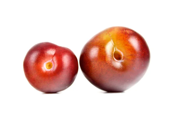 Fresh sweet plums — Stock Photo, Image