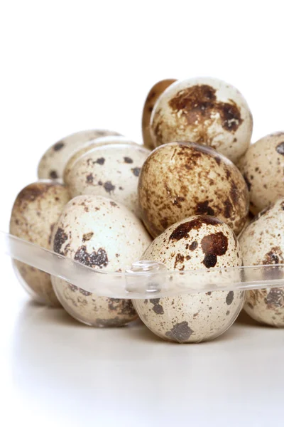 Fresh Quail eggs — Stock Photo, Image