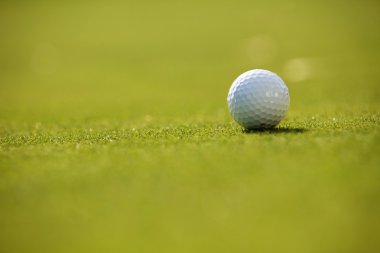 Çimlerin üzerinde golf topu