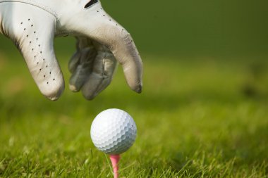 Golf topu konumlandırma el