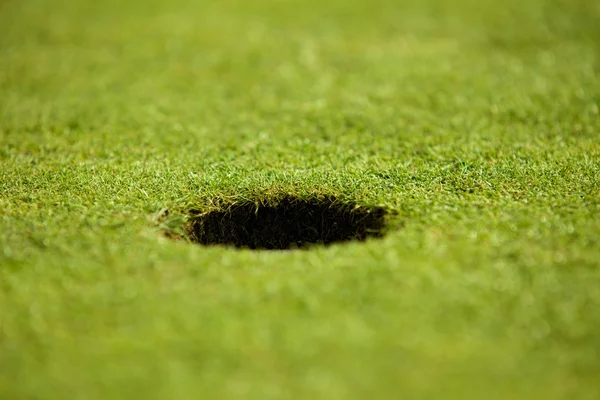 Gat op de putting green — Stockfoto