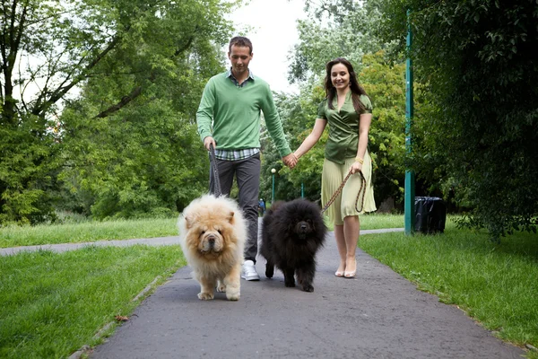 Evde beslenen hayvan köpeklerle yürümek çift — Stok fotoğraf