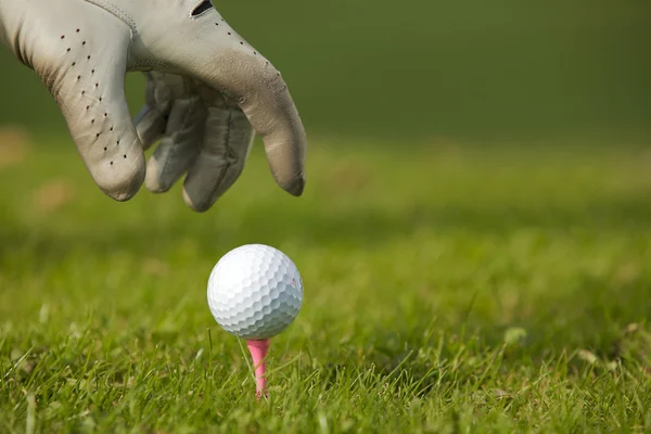 Χέρι, τοποθετώντας την μπάλα του γκολφ — Φωτογραφία Αρχείου
