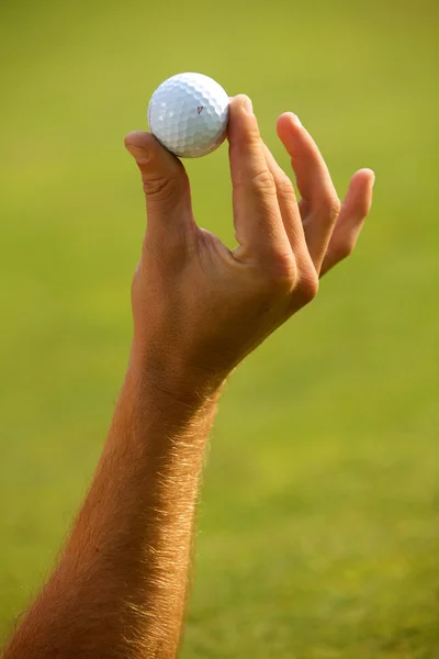 Mão humana segurando bola de golfe — Fotografia de Stock