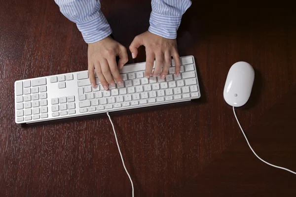 Human hands typing — Stock Photo, Image