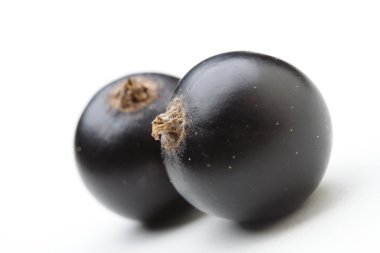 taze olgunlaşmış blackcurrants