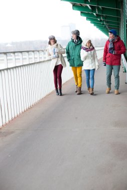 Multiethnic friends walking