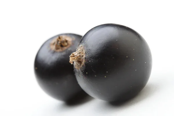 Taze olgunlaşmış blackcurrants — Stok fotoğraf