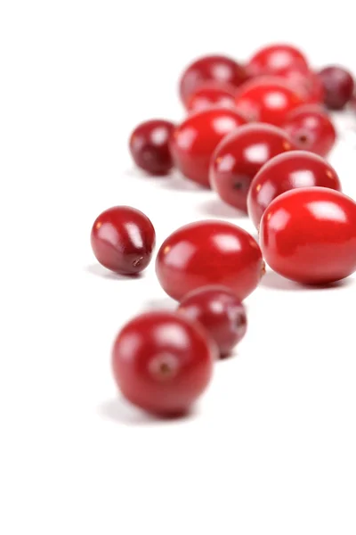 Fresh ripe cranberries — Stock Photo, Image