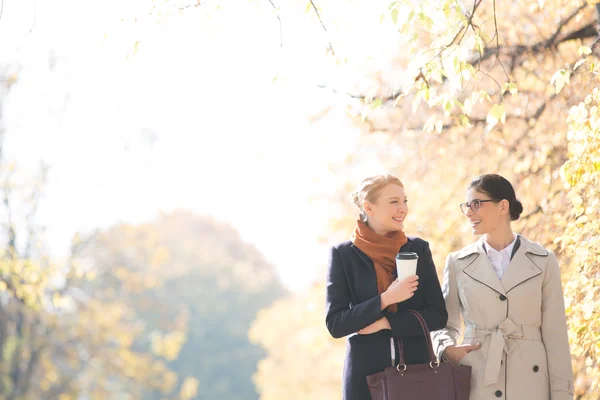 Glückliche Geschäftsfrauen im Gespräch — Stockfoto