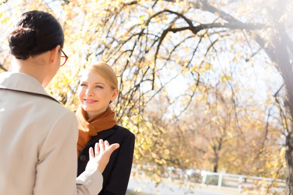 Businesswomen conversing in park — ストック写真