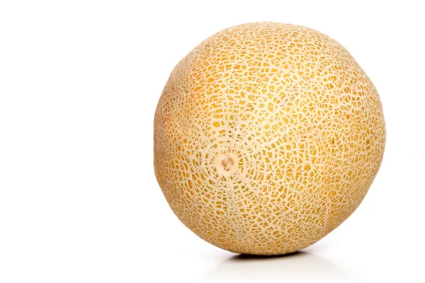 Fresh sweet Melon — Stock Photo, Image