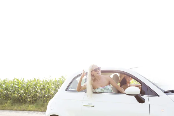 Friends enjoying in car — Stock Photo, Image