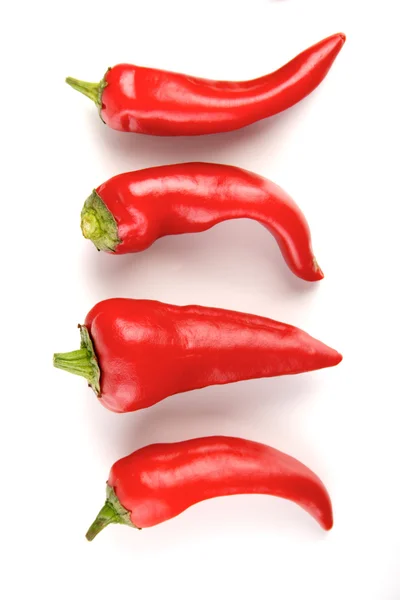 Červené chilli papričky — Stock fotografie