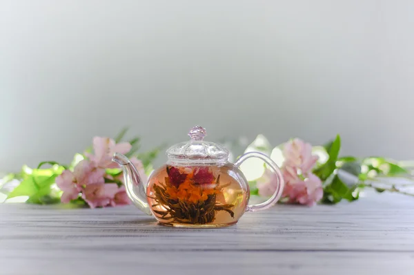 Harmony through the tea — Stock Photo, Image