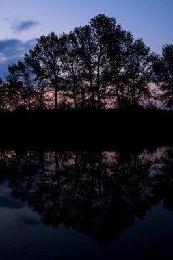 Nilüferlerle kaplı sakin bir gölün üzerinde yumuşak pembe bir şafak.