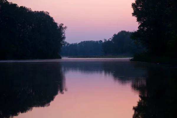 Zachte Roze Dageraad Een Rustig Meer Begroeid Met Waterlelies — Stockfoto