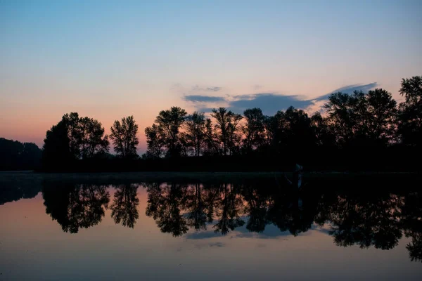 Zachte Roze Dageraad Een Rustig Meer Begroeid Met Waterlelies — Stockfoto