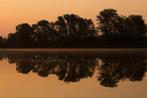 Een Zachte Oranje Zonsopgang Boven Een Rustig Meer Begroeid Met — Stockfoto