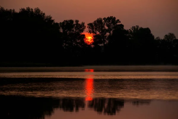 Ein Sanfter Orangefarbener Sonnenaufgang Über Einem Ruhigen Mit Seerosen Bewachsenen — Stockfoto