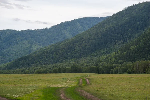 Venkovská Cesta Horských Lesích Pohoří Altai — Stock fotografie