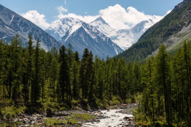 Akkem Nehri ve Belukha Tepesi Vadisi Altay