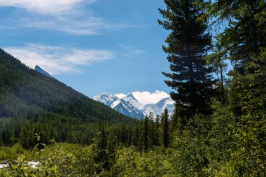 Akkem Nehri ve Belukha Tepesi Vadisi Altay
