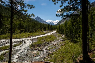 Akkem Nehri ve Belukha Tepesi Vadisi Altay