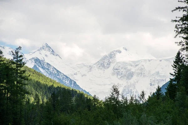 Údolí Řeky Akkem Vrcholem Beluchy Altay — Stock fotografie