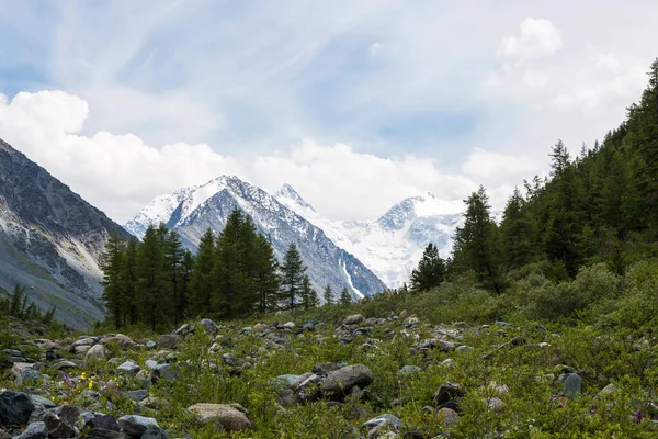 Vale Rio Akkem Pico Belukha Altay — Fotografia de Stock