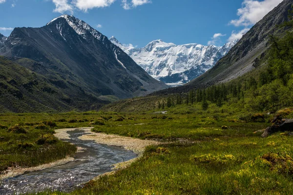 View Snow Capped Belukha Peak Shore Lake Akkem — Stock Photo, Image