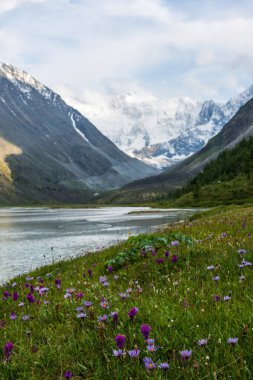 Akkem Gölü kıyısından Belukha tepesinin karla kaplı manzarası