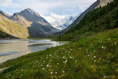 Akkem Gölü kıyısından Belukha tepesinin karla kaplı manzarası