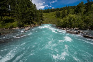 Yüksek dağ gölü Kucherlinskoe berrak, mavi suyu çok güzeldir.