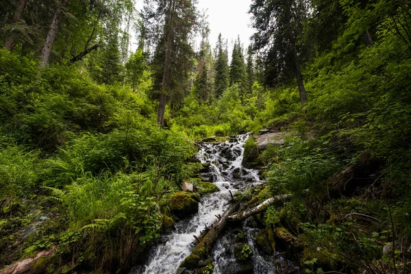 Vodopád Hlučně Řítí Dolů Vysokých Hor Altai — Stock fotografie