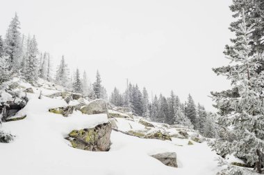 Karlar, dağ yamacındaki dev kayaların arasında yetişen köknar ağaçlarını kapladı.