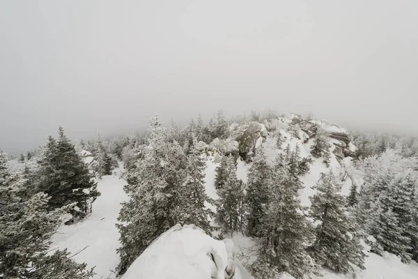 Verschneiter Winter Nadelwald Mit Komplett Verschneiten Weihnachtsbäumen Taganay Nationalpark — Stockfoto