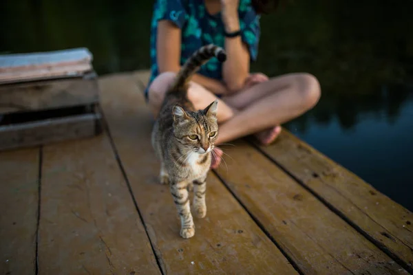 一个女孩坐在木制的码头上 看着一只猫在木板上走着 — 图库照片