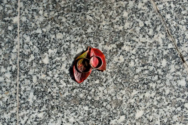 Anillos Boda Están Una Hermosa Composición —  Fotos de Stock