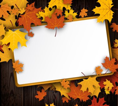 Ahşap doku arka plan akçaağaç yaprakları ile.