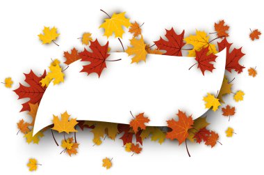 Akçaağaç yaprakları ile arka plan düşündüm sonbahar. 