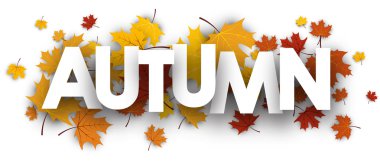 akçaağaç yaprakları ile sonbahar afiş. 