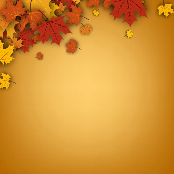 Fondo de otoño con hojas de arce. — Vector de stock