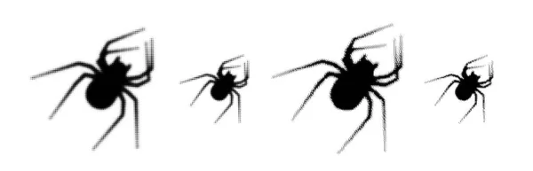 Sada Černé Půltónové Siluety Pavouka Vektorová Ilustrace — Stockový vektor