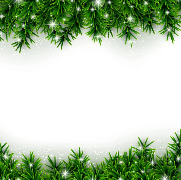 Fir christmas background. — Stock Vector