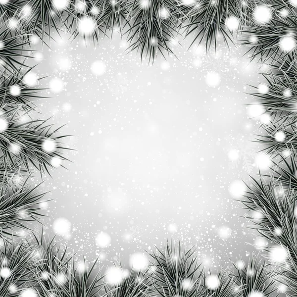 Silver christmas background with spruce branches. — Stock Vector