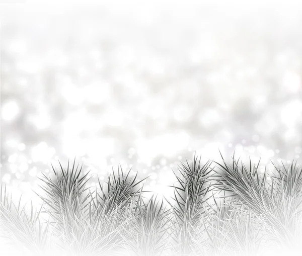 Silver christmas background with spruce branches. — Stock vektor