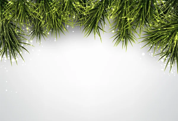 Christmas background with spruce branches. — Stock Vector